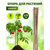 Бамбуковая поддержка GREEN APPLE GBS-10-120 120 см, 10 мм, 5 шт Б0008337