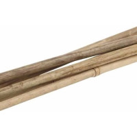 Бамбуковая поддержка GREEN APPLE GBS-10-150 150 см, 10 мм, 5 шт Б0008338