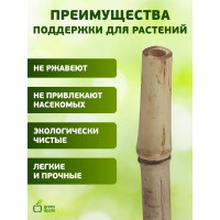 Бамбуковая поддержка GREEN APPLE GBS-10-150 150 см, 10 мм, 5 шт Б0008338