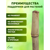 Бамбуковая поддержка GREEN APPLE GBS-8-180 180 см, 8 мм, 5 шт Б0008334