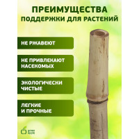 Бамбуковая поддержка GREEN APPLE GBS-8-90 90 см, 8 мм, 5 шт Б0008331