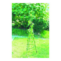 Опора для томатов GREEN APPLE 1.5 м, 24 шт. Б0008274