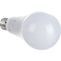 Светодиодная лампа ЭРА LED A65-19W-860-E27 Б0031704