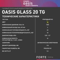 Газовый проточный водонагреватель Oasis Glass 20 TG