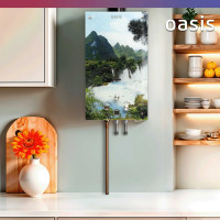 Газовый проточный водонагреватель Oasis Glass 20 VG