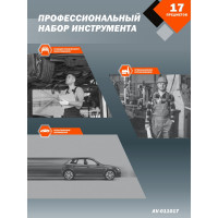 Профессиональный набор инструментов 17 предметов AV Steel AV-011017