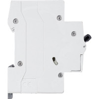 Авт.выключатель RX3 Legrand 4,5кА 50А 2П C 419702