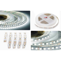 Светодиодная лента Apeyron 12В, 12Вт/м, smd2835, 120д/м, IP20, 1300лм/м, подложка 10мм, 5м, 6500 К 00-119