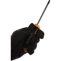 Крестовая отвертка PH 2X100 Felo Ergonic 40220310