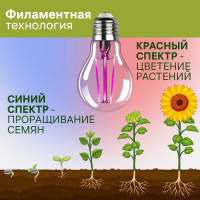 Светодиодная лампа для растений REV А60 E27 7W FILAMENT, 575-650Нм, PPF10 32416 4