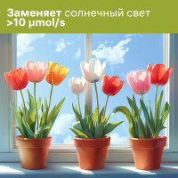 Светодиодная лампа для растений REV А60 E27 7W FILAMENT, 575-650Нм, PPF10 32416 4