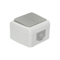Выключатель EKF Мурманск 2-клавишный 10А IP54 серый EFV10-023-30-54
