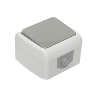 Выключатель EKF Мурманск 1-клавишный 10А IP54 серый EFV10-021-30-54
