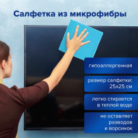 Чистящий набор салфетки для экранов мониторов + спрей BRAUBERG 510341
