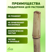 Бамбуковая поддержка GREEN APPLE GBS-8-150 150 см, 8 мм, 5 шт Б0008333