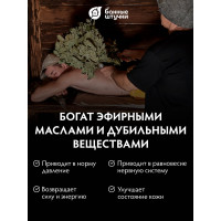 Дубовый веник с крапивой Банные штучки 32011