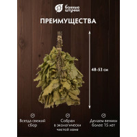 Дубовый веник с мятой Банные штучки 32020
