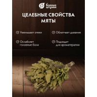 Дубовый веник с мятой Банные штучки 32020