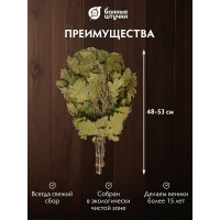 Дубовый веник с полынью Банные штучки  32010