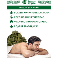 Липовый веник Банные штучки 03677