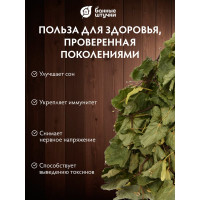 Липовый веник Банные штучки 03677