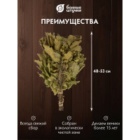 Веник дубовый с донником Банные штучки 32705