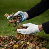 Перчатки х/б с ПВХ Без бренда Протектор 10 класс, 10пар/уп 67806