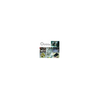 Набор специальных головок для ТНВД BOSCH 5 пр. для BOSCH VE, TDI, CR JTC -4493 990529