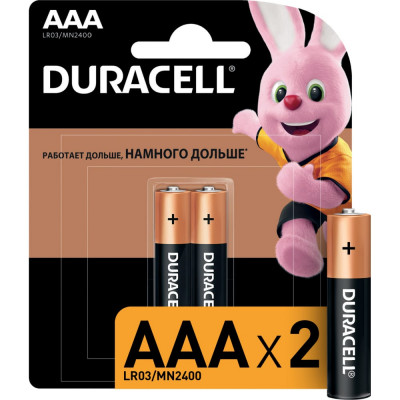 Duracell Батарейки щелочные Basic ААA/LR03 2 шт. блистер Б0026812