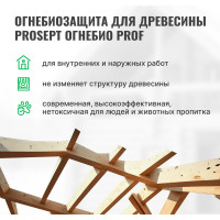 Огнебиозащитный состав PROSEPT ОГНЕБИО PROF 2, 10л 006-10