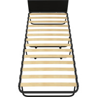 Раскладная кровать Leset Модель 205