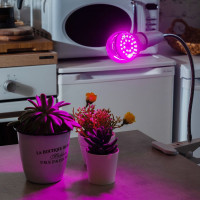 Светодиодная лампа для растений Uniel LED-A60-9W/SP/E27/CL ALM01WH 9645