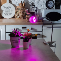 Светодиодная лампа для растений Uniel LED-A60-9W/SP/E27/CL ALM01WH 9645