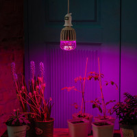 Светодиодная лампа для растений Uniel LED-M80-20W/SP/E27/CL ALS55WH, 11098