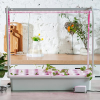 Компрессор для гидропоники Uniel UDN-P44-2W WHITE UL-00004490