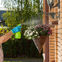 Ручной опрыскиватель PALISAD 0,75л 64741