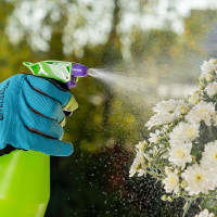 Ручной опрыскиватель PALISAD 0,75л 64741