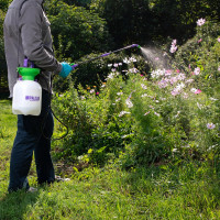 Ручной опрыскиватель PALISAD 3л 64743