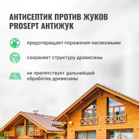 Универсальный антисептик против жуков и других насекомых PROSEPT АНТИЖУК 5л 024-5