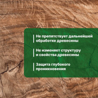 Универсальный антисептик против жуков и других насекомых PROSEPT АНТИЖУК 5л 024-5