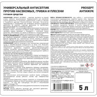 Универсальный антисептик против жуков и других насекомых PROSEPT АНТИЖУК 5л 024-5