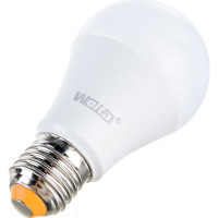 Лампа WOLTA LED 25S60BL12E27