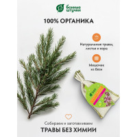 Набор запарок в сумочке Банные Штучки 5шт, мята, эвкалипт, душица, можжевельник,чабрец 32160