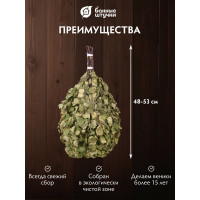 Березовый веник Банные Штучки 03647
