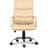 Компьютерное офисное кресло руководителя BRABIX Space EX-508, с подлокотниками, эко кожа, хром 531165