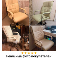 Компьютерное офисное кресло руководителя BRABIX Space EX-508, с подлокотниками, эко кожа, хром 531165