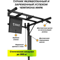 Турник-брусья Absolute Champion Железное тело СГ000002587