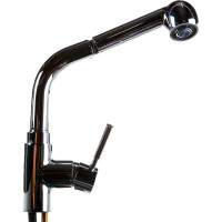 Смеситель для кухни WasserKRAFT Main 4166