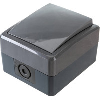 Выключатель ЭРА 11-1401-03 IP54, 10АХ-250В, открытой установки, Эксперт, серый Б0020670