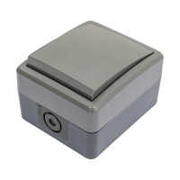 Переключатель ЭРА 11-1403-03 IP54, 10АХ-250В, ОУ, Эксперт, серый Б0020674